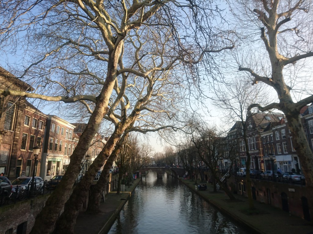 Photo showing a canal in the centre with leafless trees on eiher side and buildings on the left and right hand side. 